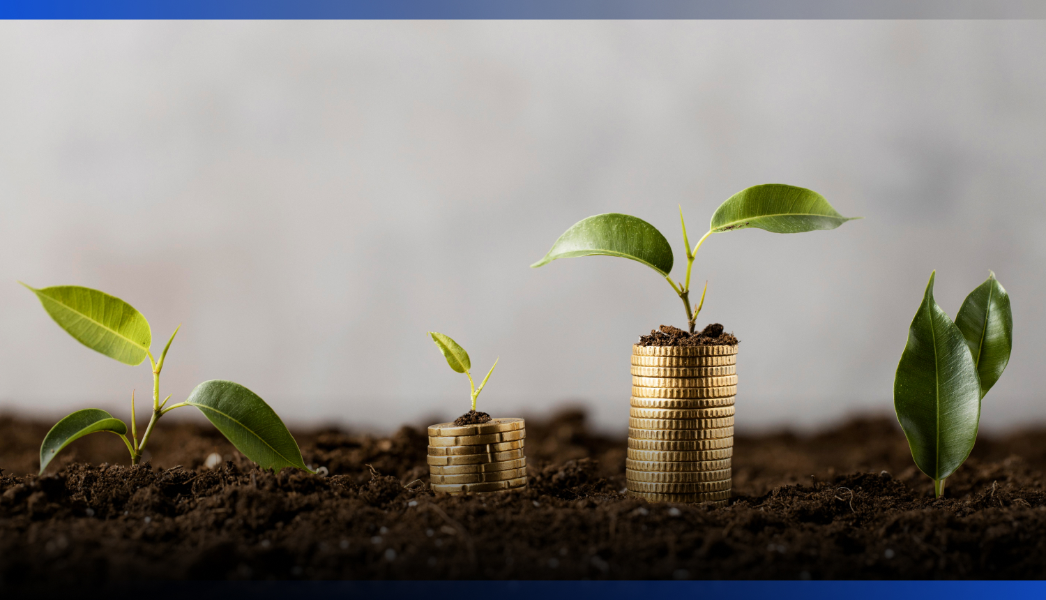 Image for Фермерам в Казахстане субсидируют до 80% страховки